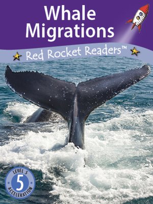 cover image of Whale Migrations